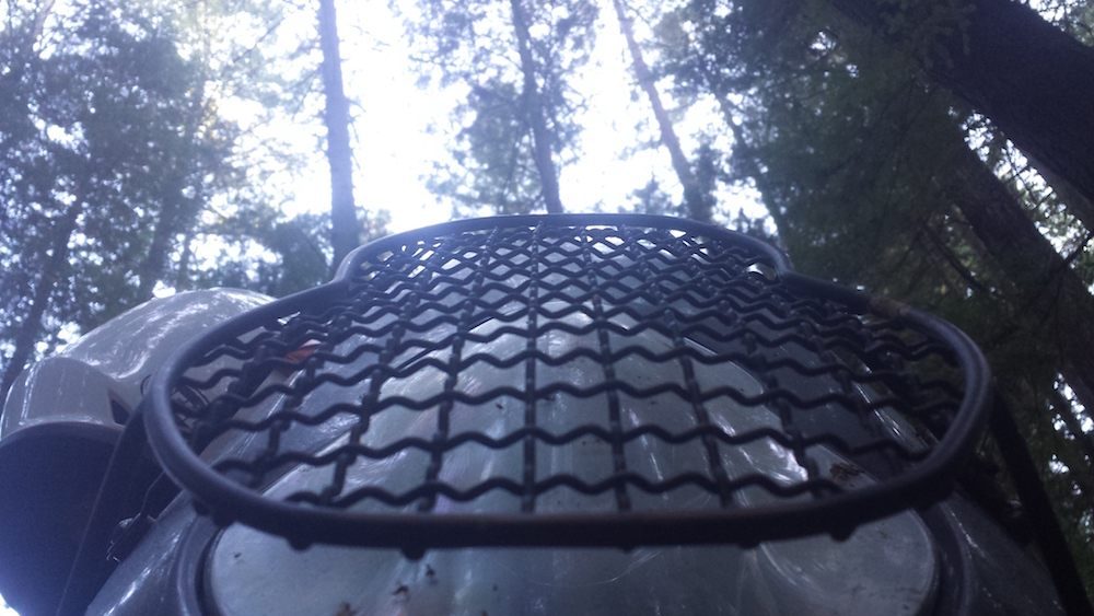 my headlight grill in the redwoods